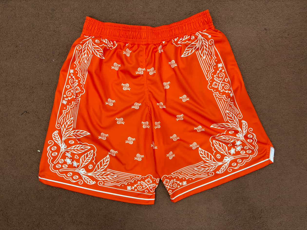 Orange Paisley
